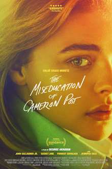 The Miseducation of Cameron Post Review
